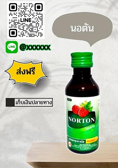 นอร์ตัน
